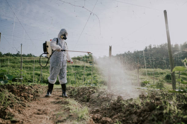 Best Mosquito Control Services  in Mount Juliet, TN