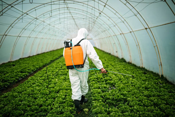 Best Residential Pest Control  in Mount Juliet, TN