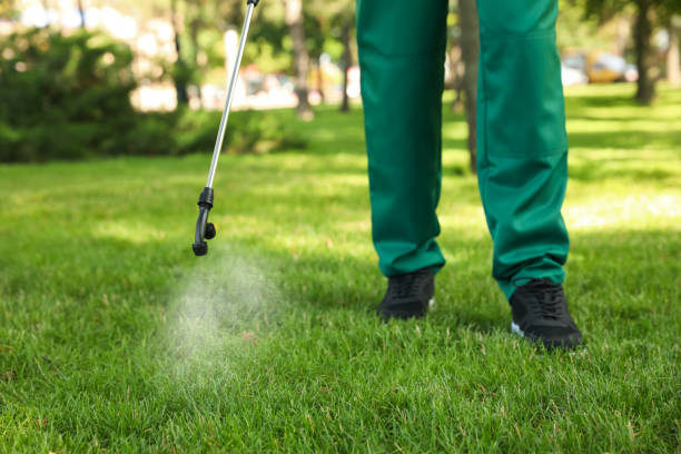 Best Rodent Control Near Me  in Mount Juliet, TN