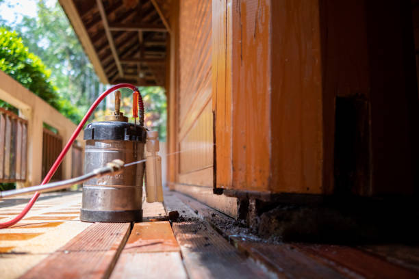 Best Local Pest Control Services  in Mount Juliet, TN